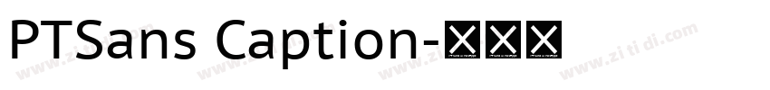 PTSans Caption字体转换